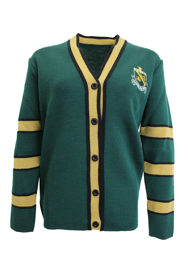 St Matthew's Collegiate Cardigan